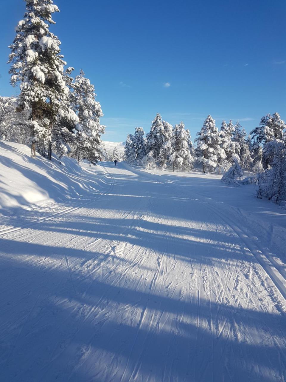 Voss Interlake - Villa Skulestadmo Dış mekan fotoğraf