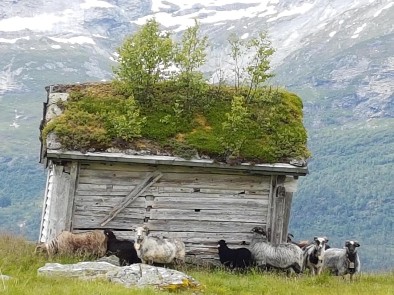Voss Interlake - Villa Skulestadmo Dış mekan fotoğraf
